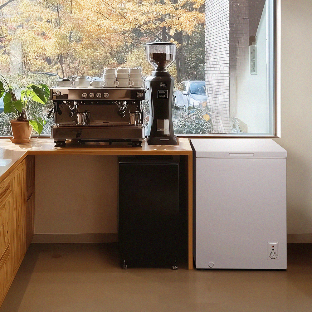 더함 미니 냉동고 스탠드형 급속 냉동 가정용 냉동고 뚜껑형 화이트 소형 냉동고 99L