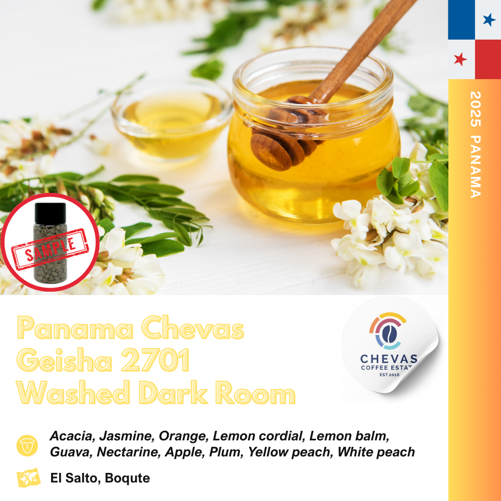 파나마 체바스 게이샤 워시드 다크룸 2701