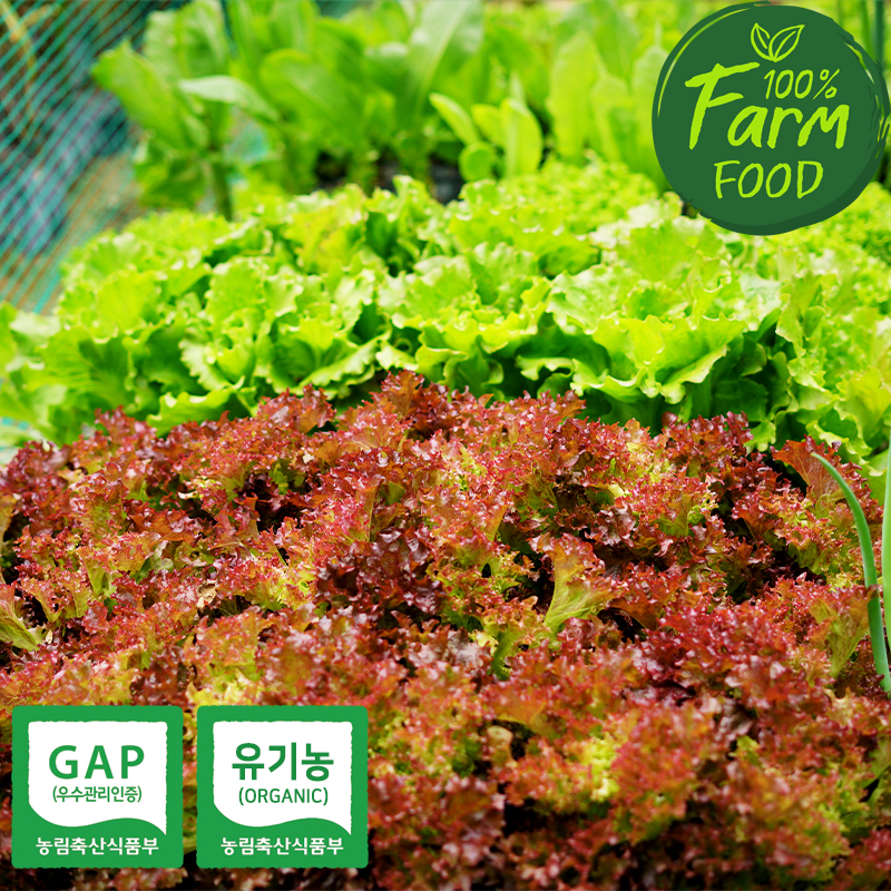 아침 한끼 식단조절 야채 유기농 무농약 GAP 유러피안 샐러드 채소 1kg(3~6종랜덤)