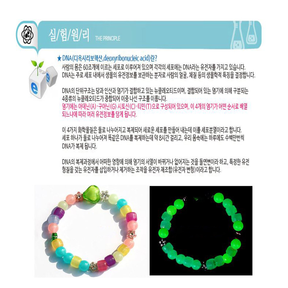 자외선 DNA 야광팔찌 10인세트 미아방지 손목밴드 형광놀이 - 상세 이미지 2
