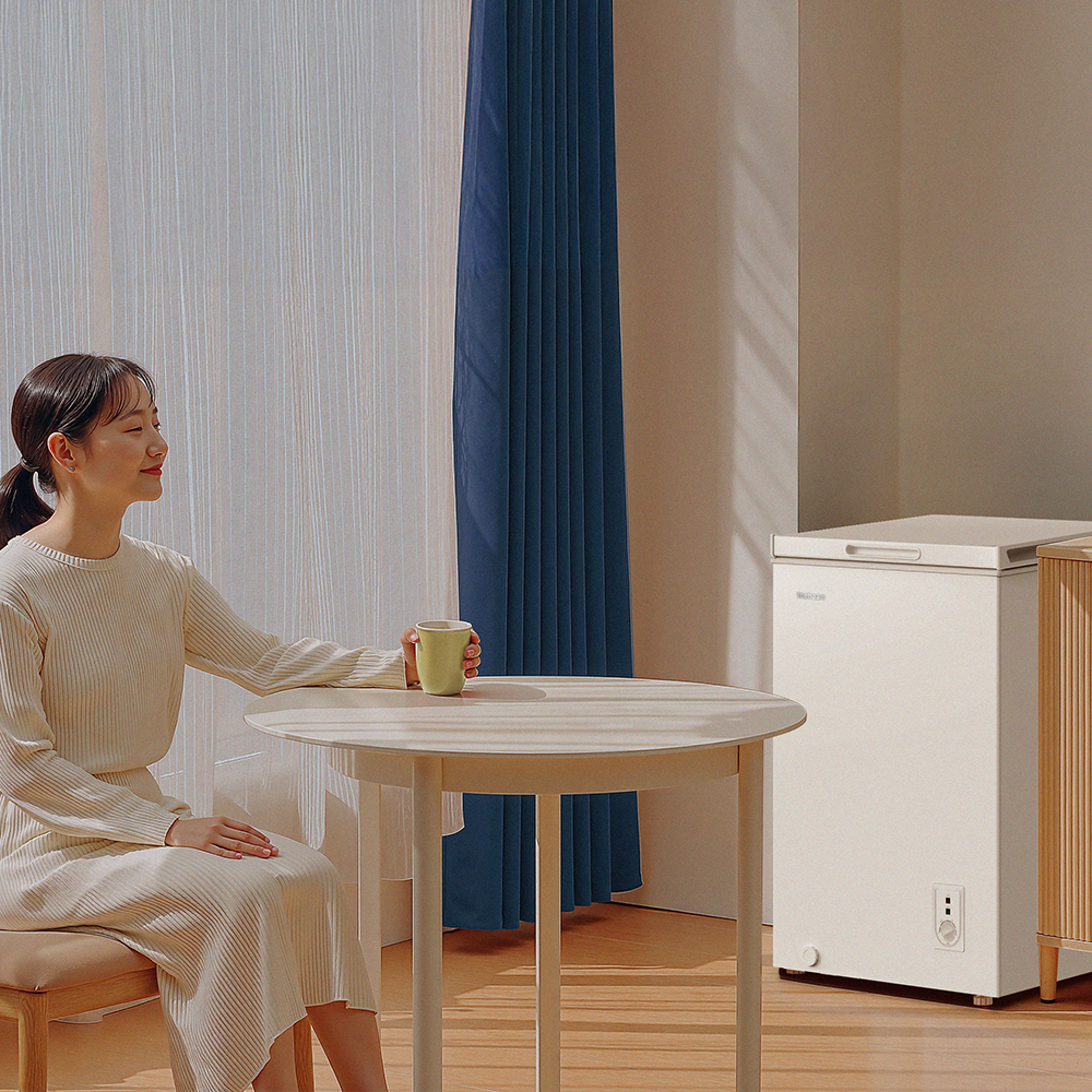 더함 미니 냉동고 스탠드형 급속 냉동 가정용 냉동고 뚜껑형 화이트 소형 냉동고 99L