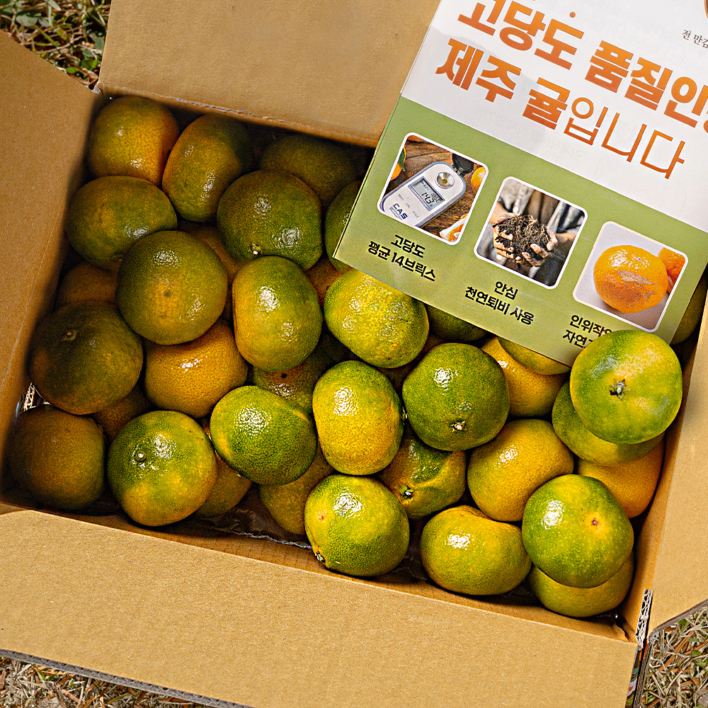 제주 감귤 카라향 귤 레드향 황금향 밀감 선물세트