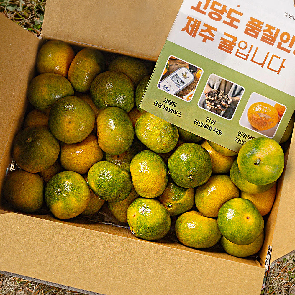 대한민국농수산 제주 감귤 귤 밀감 황금향 선물세트
