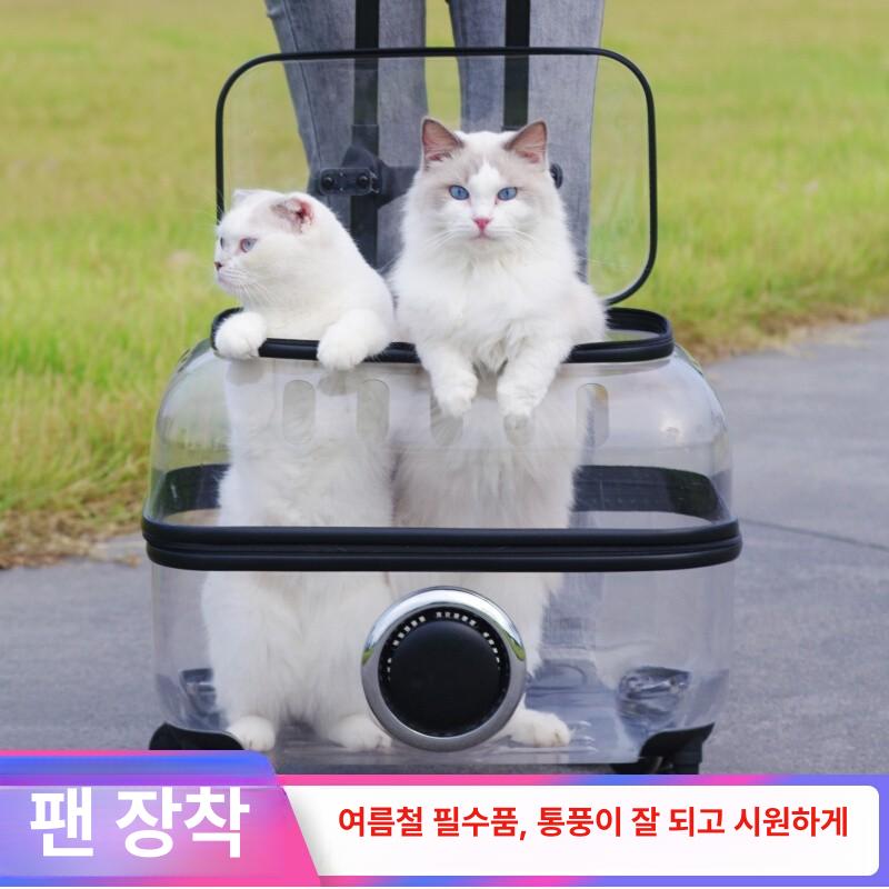 고양이 바퀴달린 캐리어 이동장 강아지 투명 가방 외출 K45 분리형접이식 11kg 4.5kg 쿠션 포함 - 상세 이미지 5