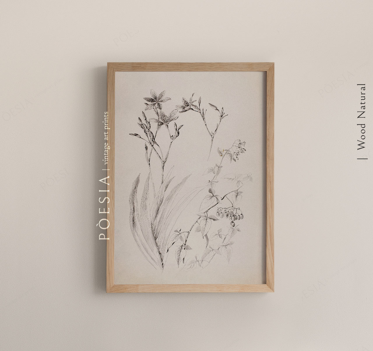 [조지 엘버트 버] Untitled (Botanical Study) 인테리어 포스터 지클리 아트 프린트 A3 - 상세 이미지 3