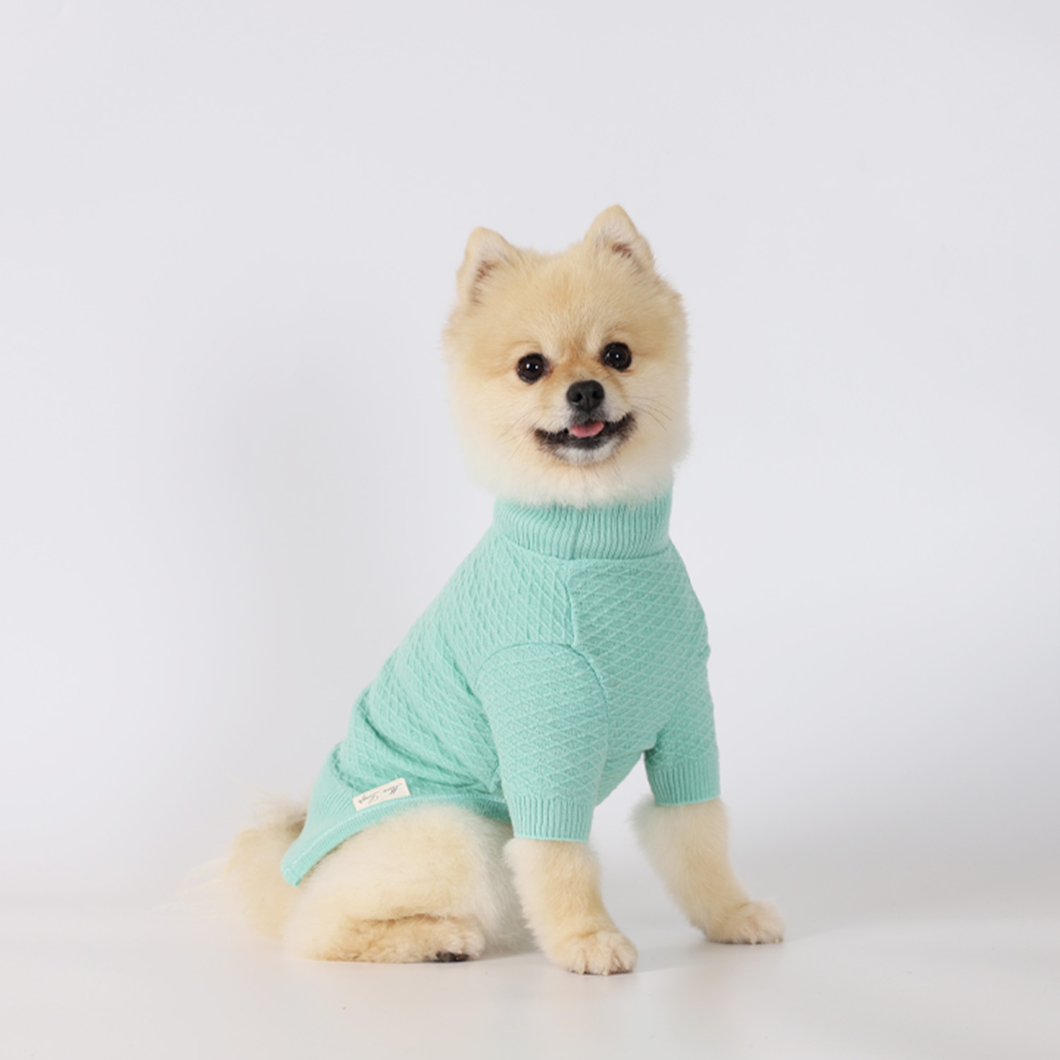 강아지옷 웨하스