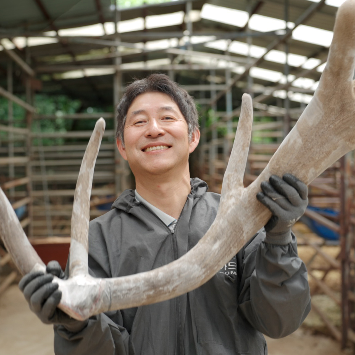 해담녹용 러시아계 엘크사슴 녹용 진액 건강즙 7.2kg 3달분 - 상세 이미지 2