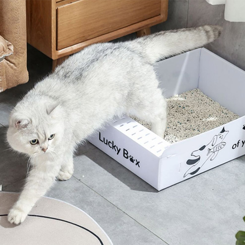 포포가든 고양이 휴대용 접이식 간이 화장실 여행용 야외용 L 53cm - 상세 이미지 4