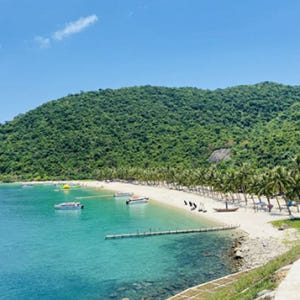 다낭 참섬 3섬 호핑투어 스노쿨링 한국인 전용 씨워커 스쿠버다이빙 솔직 후기 | 실사용자 리뷰 분석 - 상품 이미지 3