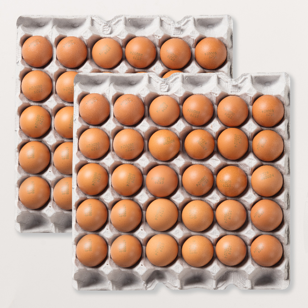 쫄깃 촉촉 구운계란 구운란 대란 30구+30구 (총 2판)