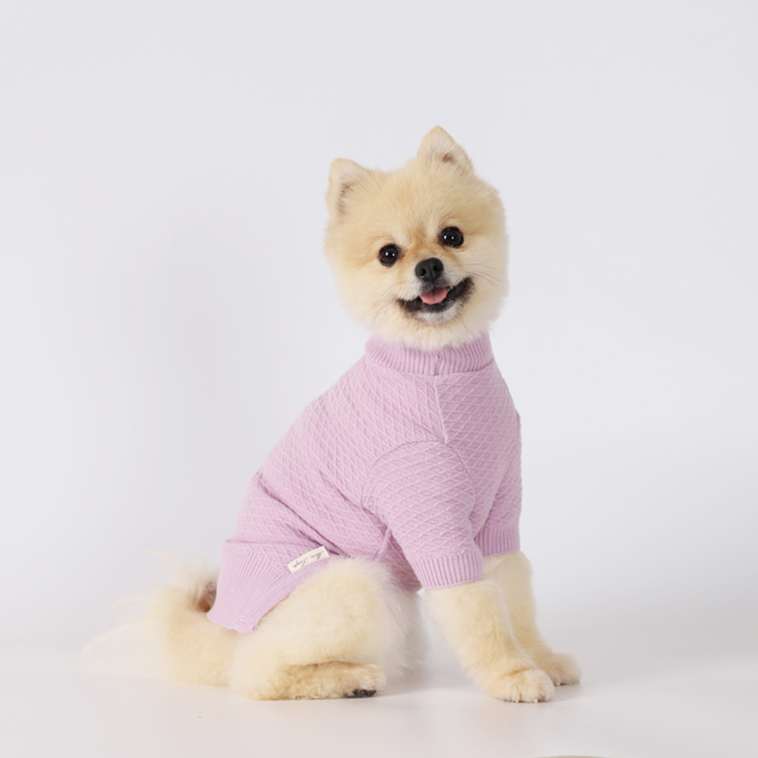 강아지옷 웨하스