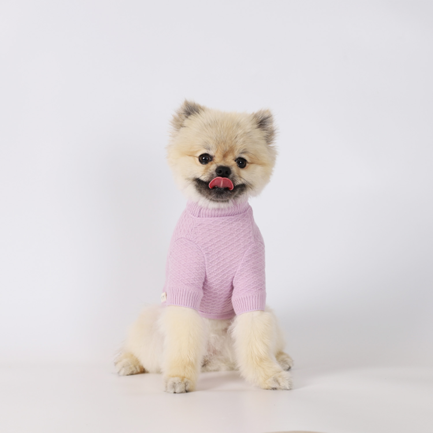 강아지옷 웨하스