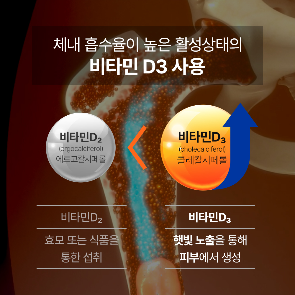 칼마디 K2 어바인랩 WPE 칼슘 마그네슘 비타민 D K2 임산부 영양제 60캡슐, 1개 이미지 4