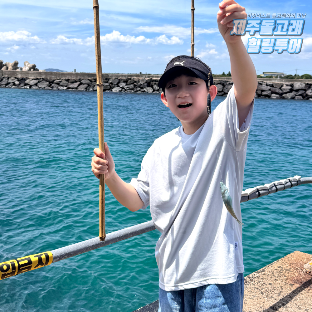 제주도 돌고래 보트 투어 요트 이색 체험 제주 액티비티 레저 놀거리 상품 이미지