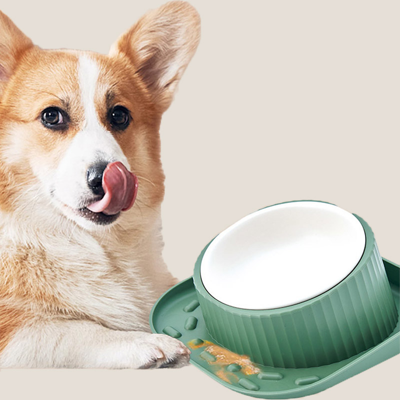 포포가든 반려동물 강아지 고양이 그릇 흘림방지 식기 스텐볼 화이트 (브라운/그린) 이미지 8