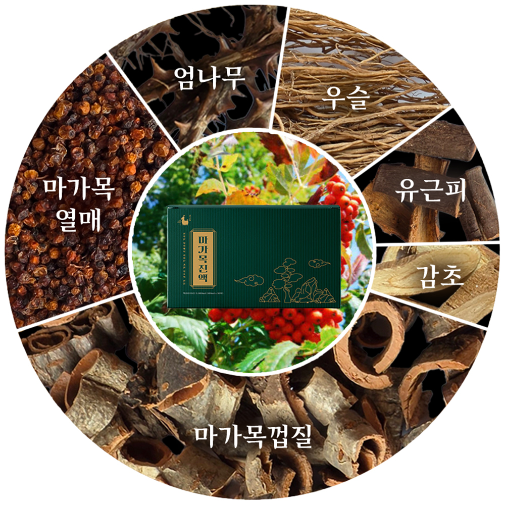 마가목진액 100ml 30포 이미지 4