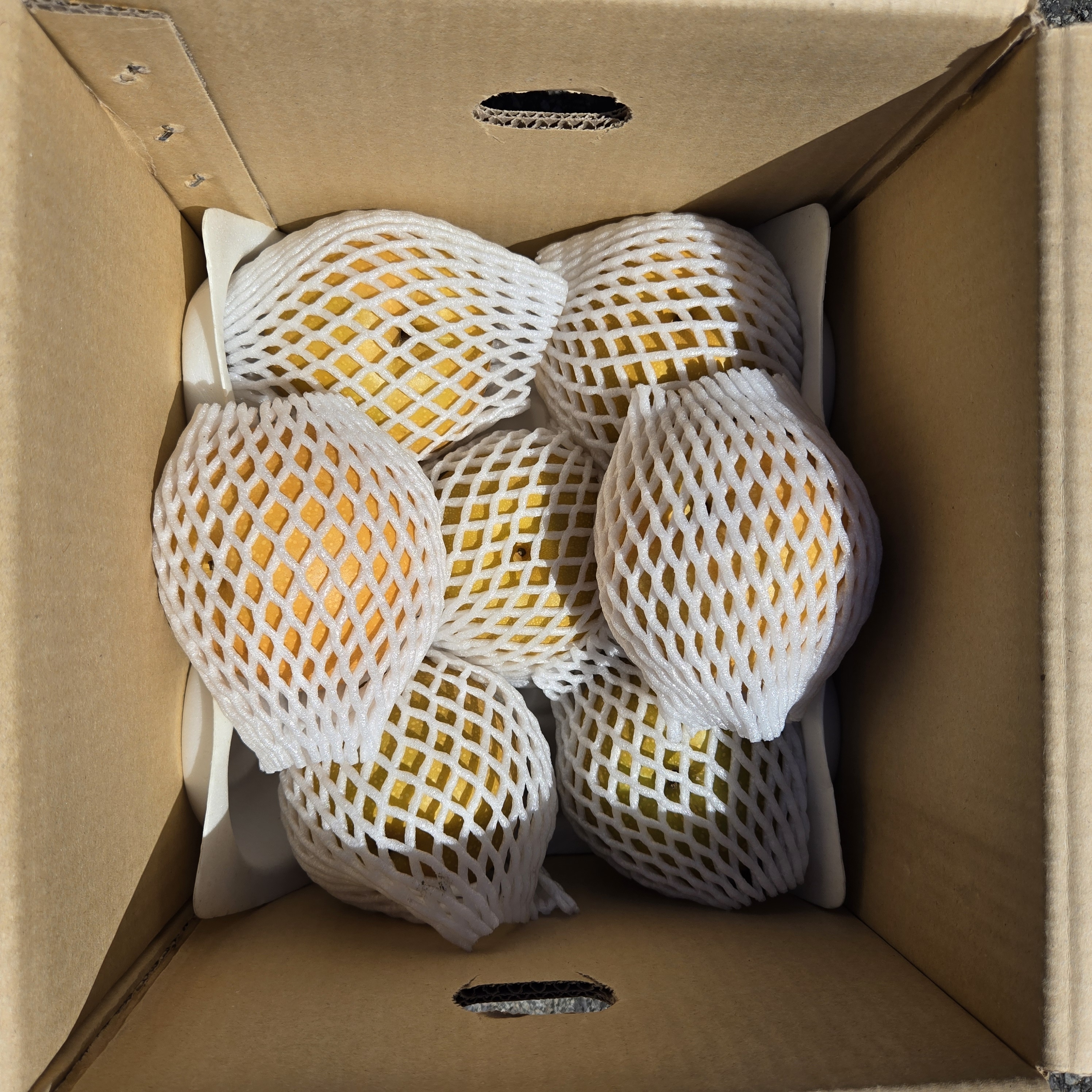 신고배 못난이 가정용 김장용 배 12Brix, 5kg, 1개 - 상세 이미지 2