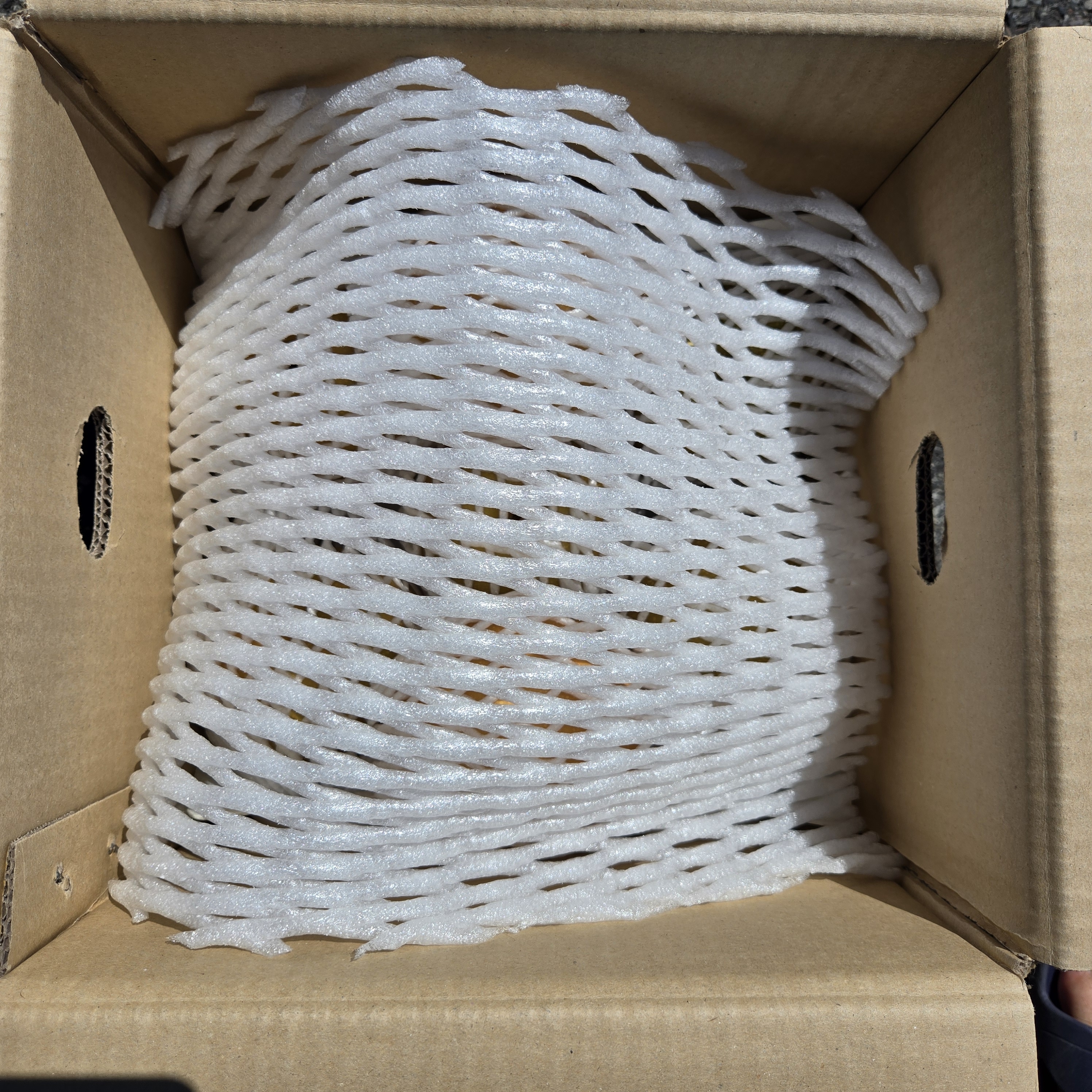 신고배 못난이 가정용 김장용 배 12Brix, 5kg, 1개 - 상세 이미지 3
