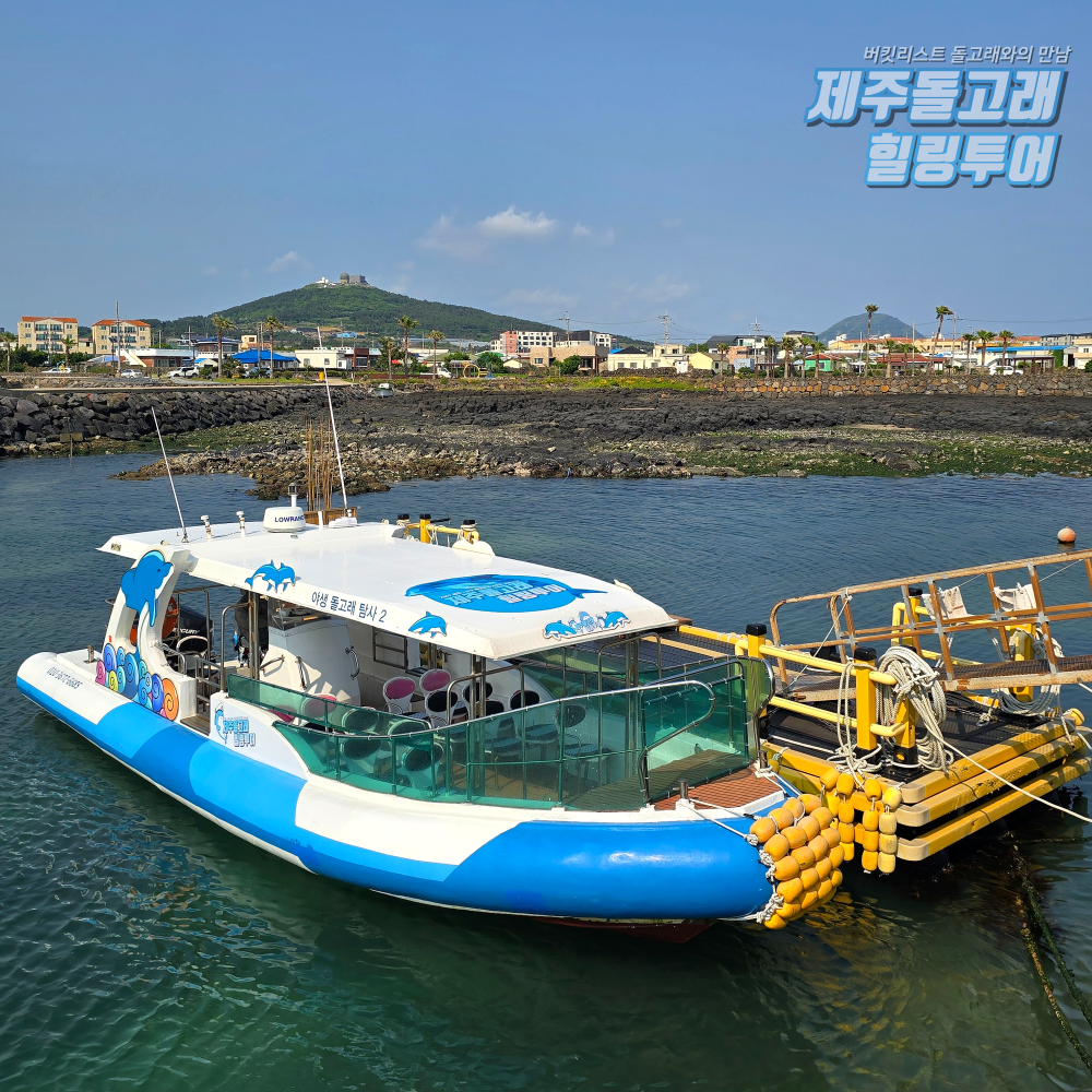 제주도 돌고래 보트 투어 요트 이색 체험 제주 액티비티 레저 놀거리 상품 이미지