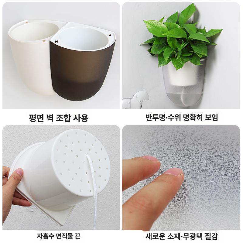 별걸이 계단식 화분 받침대 다육이 다육이선반 식물선반 거치대 선반 다용도 행거형 강력접착 K06 평면 벽걸이형 플라스틱 중간 - 상세 이미지 4