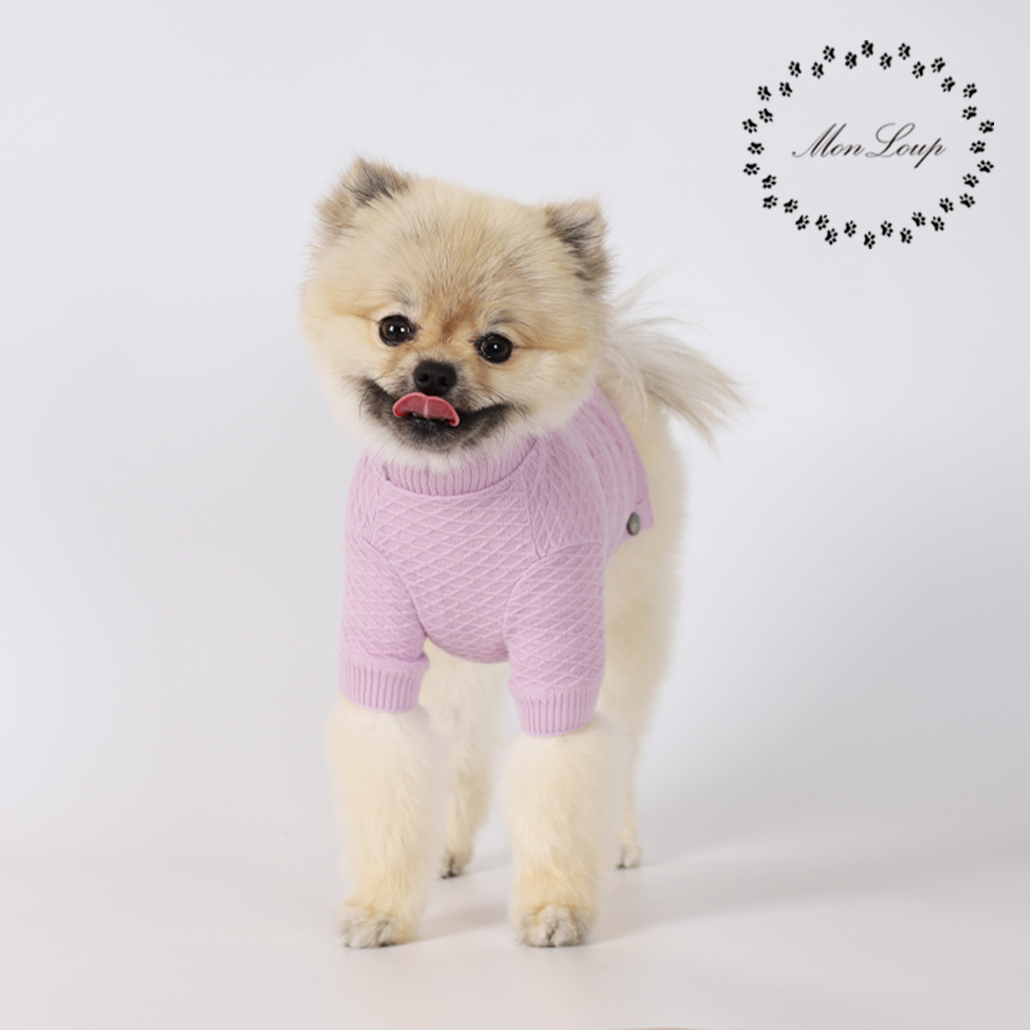 강아지옷 웨하스