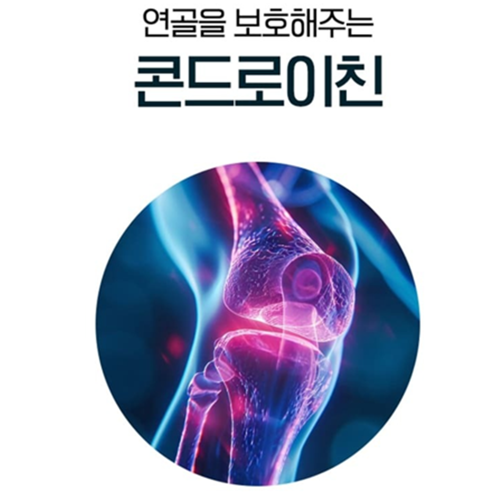 코오롱제약 리포좀 철갑상어 콘드로이친 120정 3박스 12개월 관절 연골 콘드로이친황산염 이미지 8
