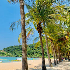 다낭 참섬 3섬 호핑투어 스노쿨링 한국인 전용 씨워커 스쿠버다이빙 솔직 후기 | 실사용자 리뷰 분석 - 상품 이미지 2