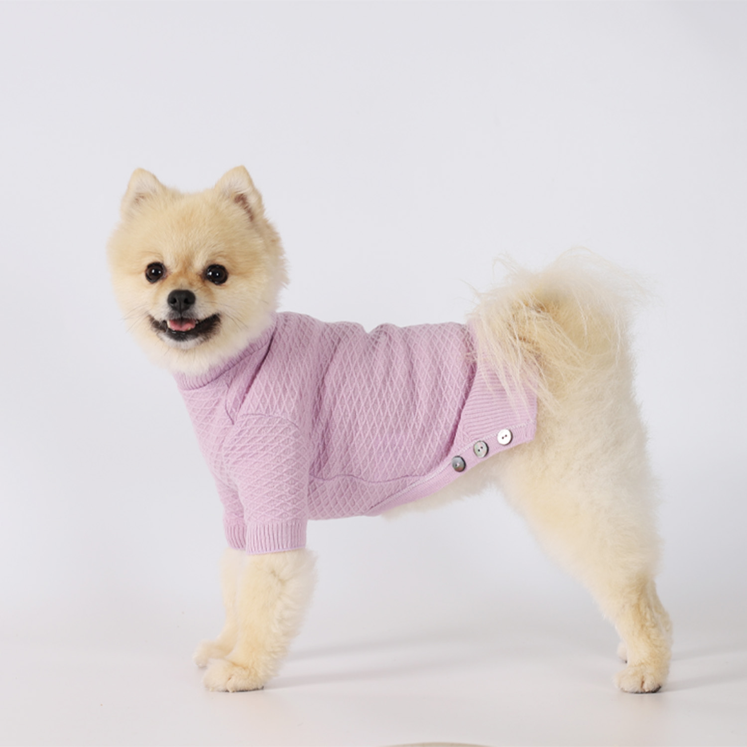 강아지옷 웨하스