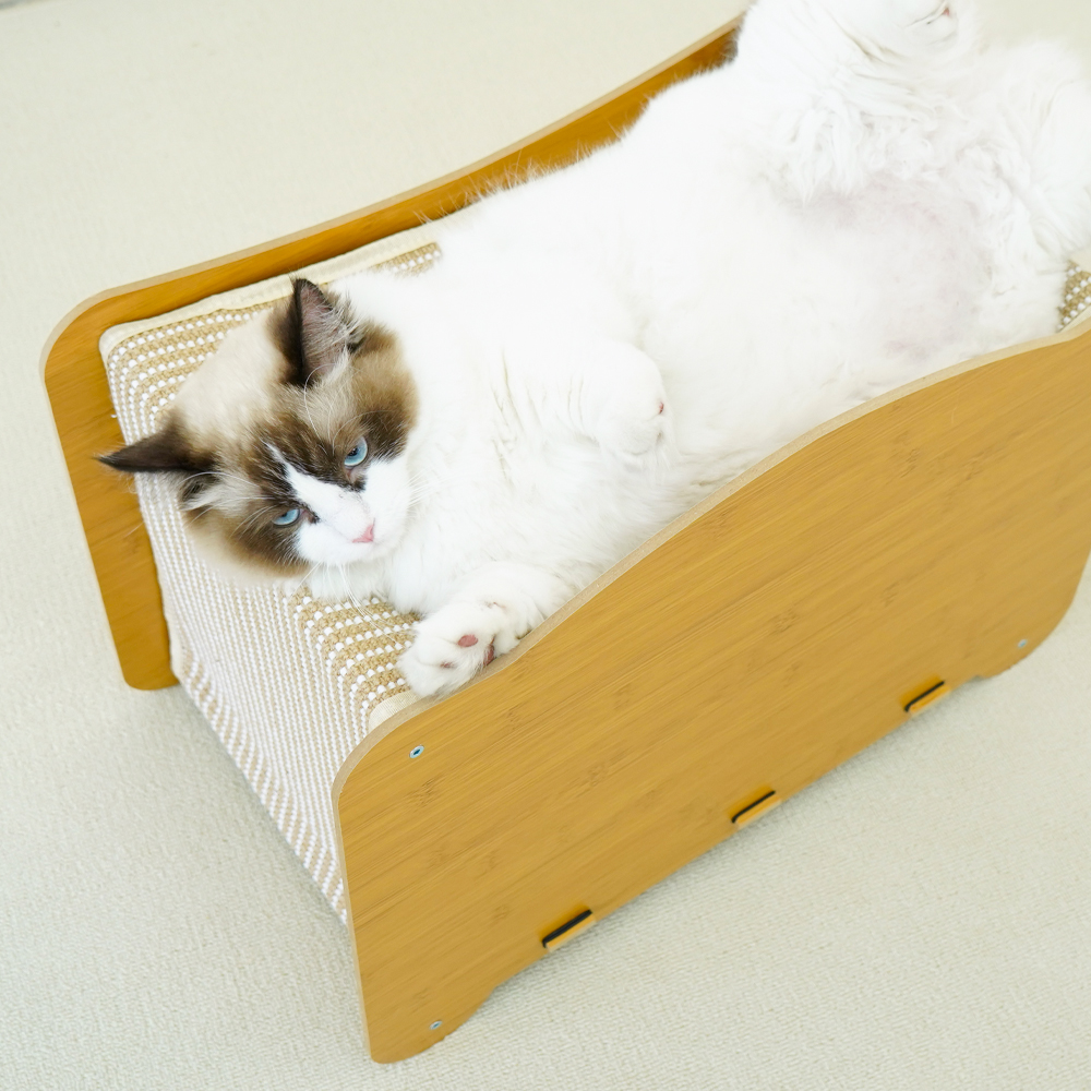 개과천선 어몽드 모네트 고양이 스크래쳐 - 상세 이미지 4
