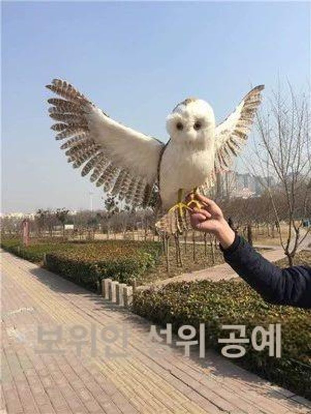 대형 독수리 모형 깃털 조류 실사 부엉이 퇴치 수리 화이트 50cm 길이 - 상세 이미지 5