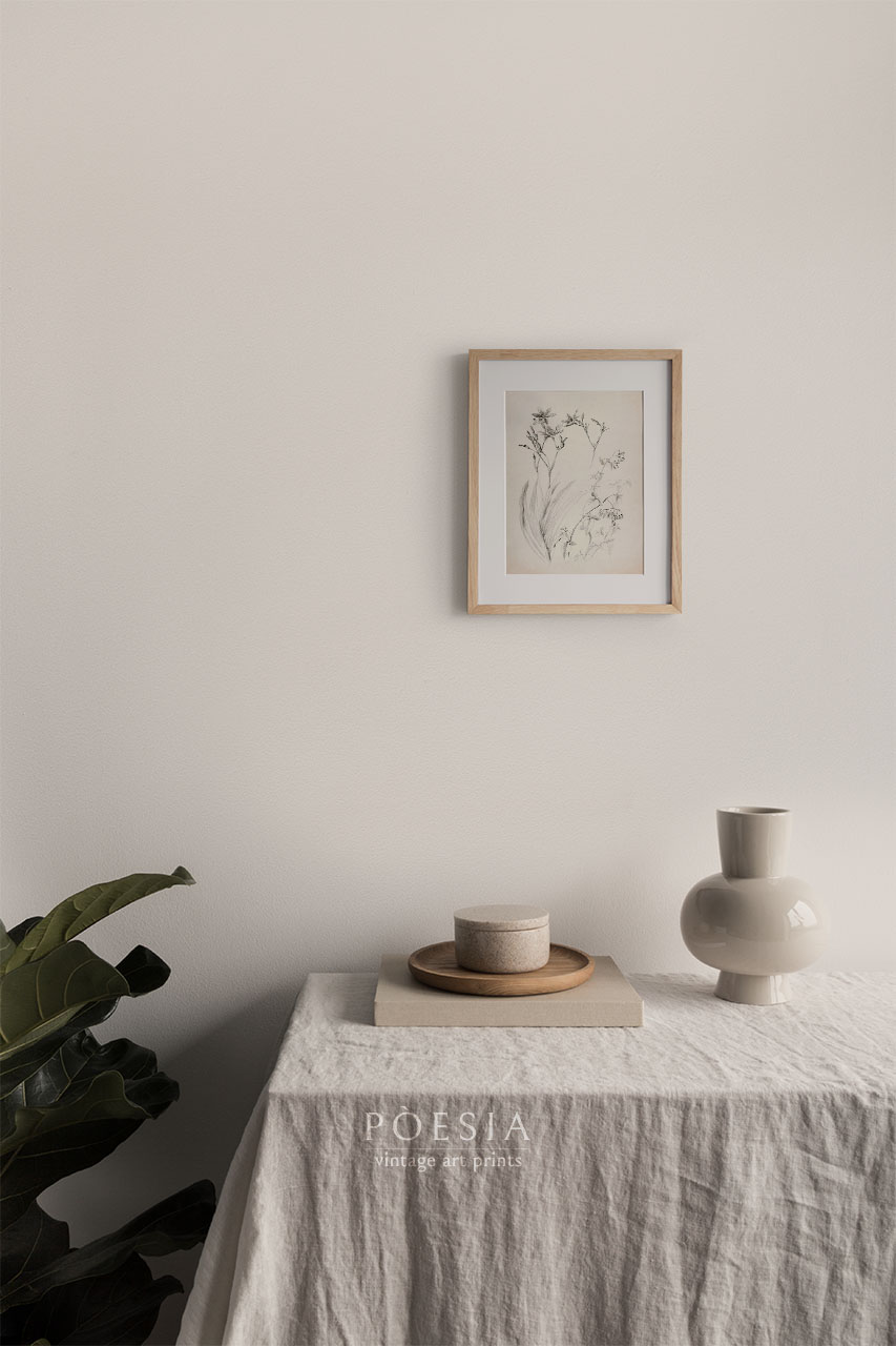 [조지 엘버트 버] Untitled (Botanical Study) 41×51.2 cm 매트&액자 포함 - 상세 이미지 3