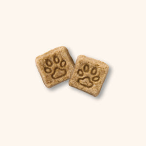 리틀포우 리얼 오븐베이크 프로틴다운 에어드라이 강아지사료 치킨 1.2kg 솔직 후기 | 실제 사용자 리뷰 총정리 - 상품 이미지 3