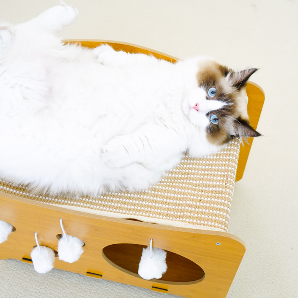 개과천선 어몽드 모네트 고양이 스크래쳐 이미지 6