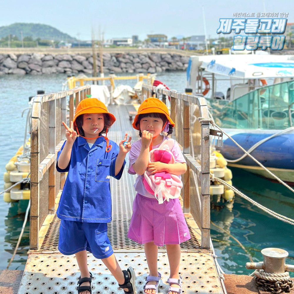 제주도 돌고래 보트 투어 요트 이색 체험 제주 액티비티 레저 놀거리 상품 이미지