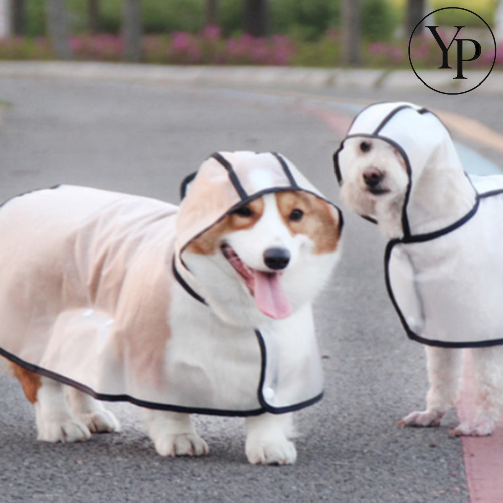 반투명 반려견 레인코트 일체형 산책 실외 배변 S M L 우비 애완동물 우의