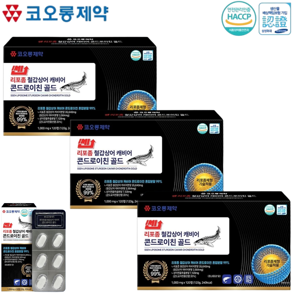코오롱제약 리포좀 철갑상어 콘드로이친 120정 3박스 12개월 관절 연골 콘드로이친황산염 - 상품 이미지