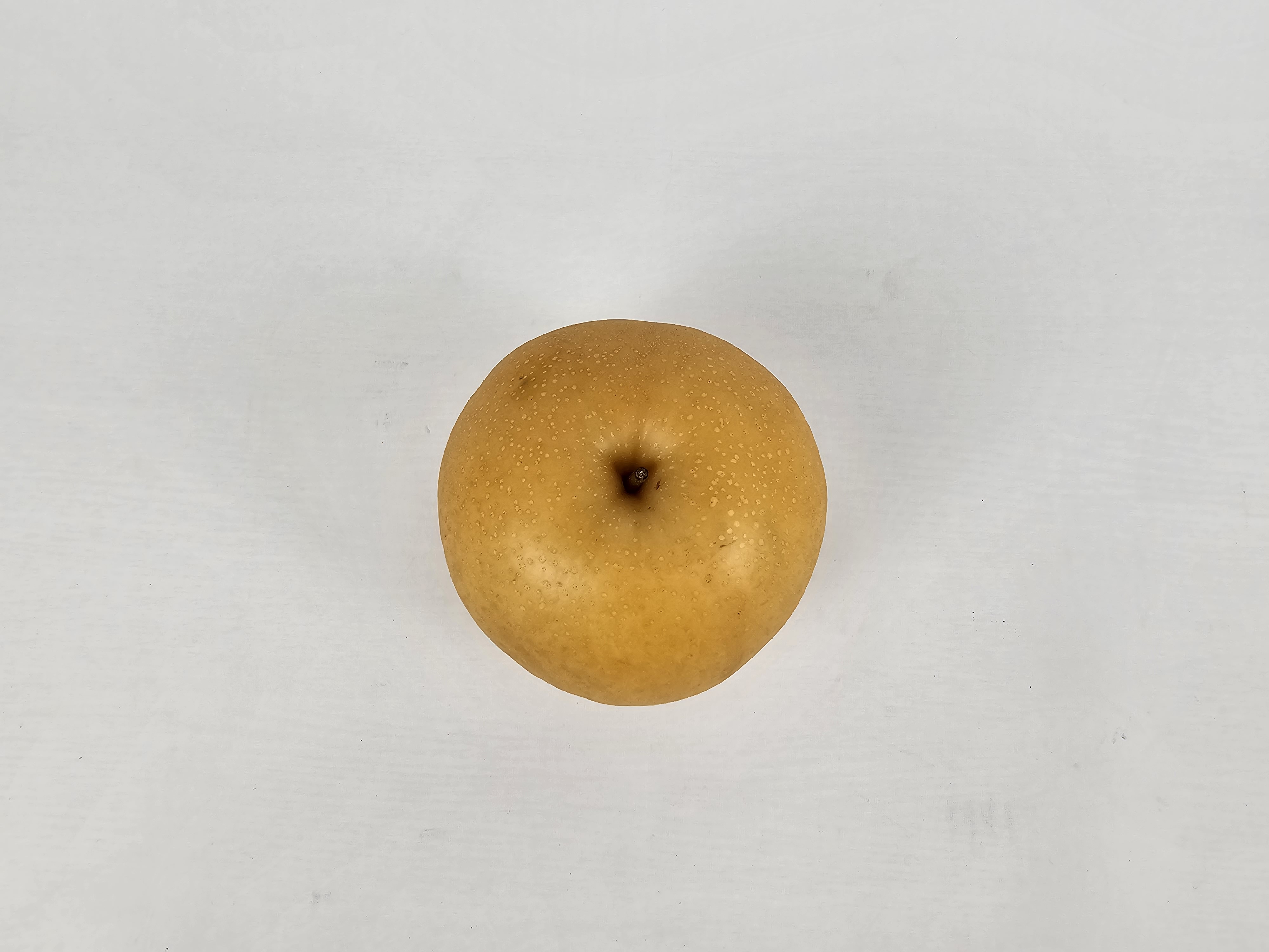 시원한 햇 신고 배 12Brix, 3kg, 1개 - 상세 이미지 3