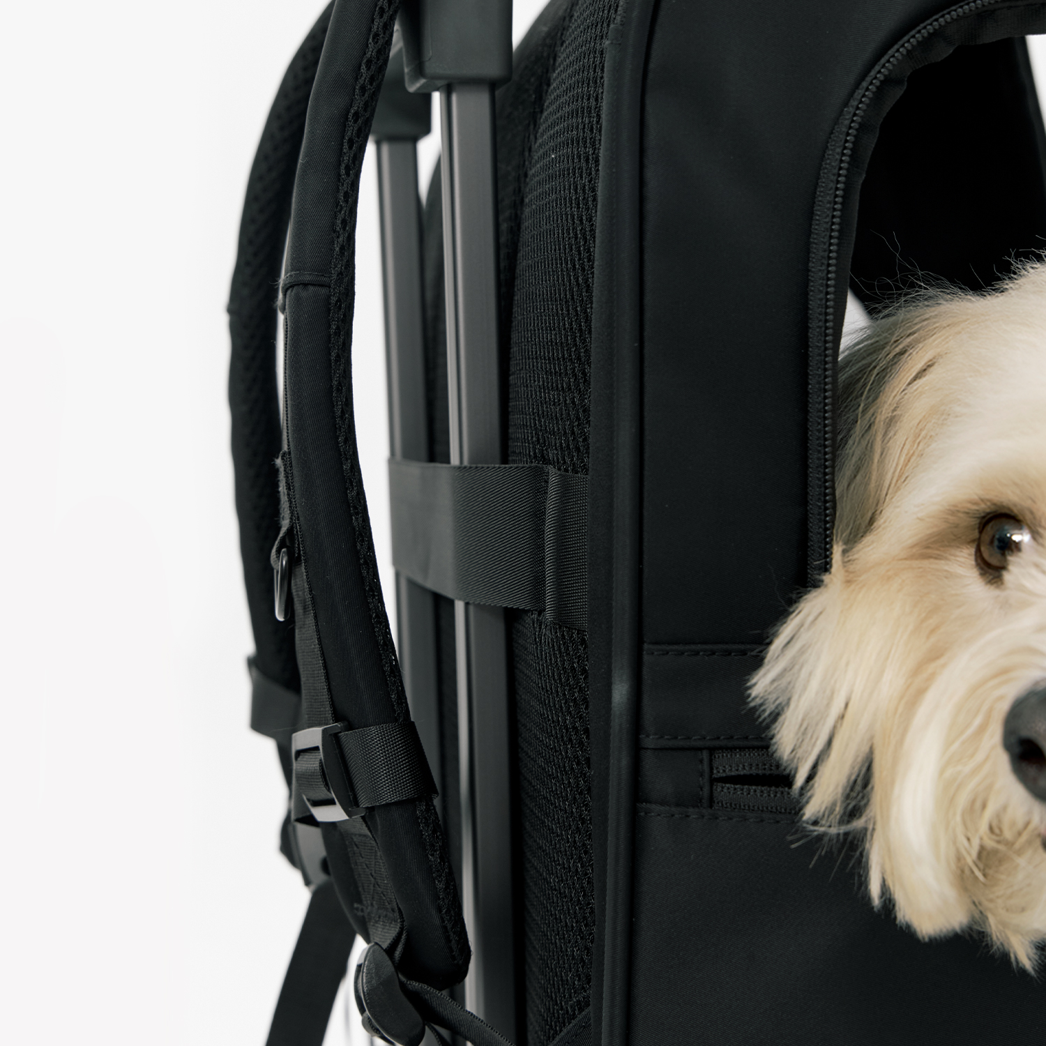 멀리 강아지 이동가방 반려견 백팩 애견 고양이 이동장 쿠션제공 마일러백팩-블랙