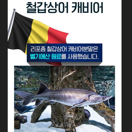코오롱제약 리포좀 철갑상어 콘드로이친 120정 2박스 8개월 관절 연골 콘드로이친황산염 - 상세 이미지 5