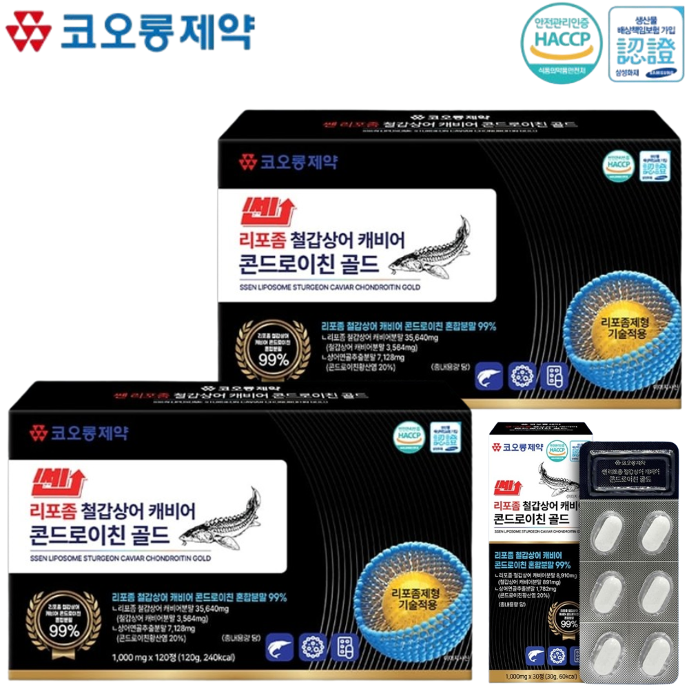 코오롱제약 리포좀 철갑상어 콘드로이친 120정 2박스 8개월 관절 연골 콘드로이친황산염 - 상품 이미지