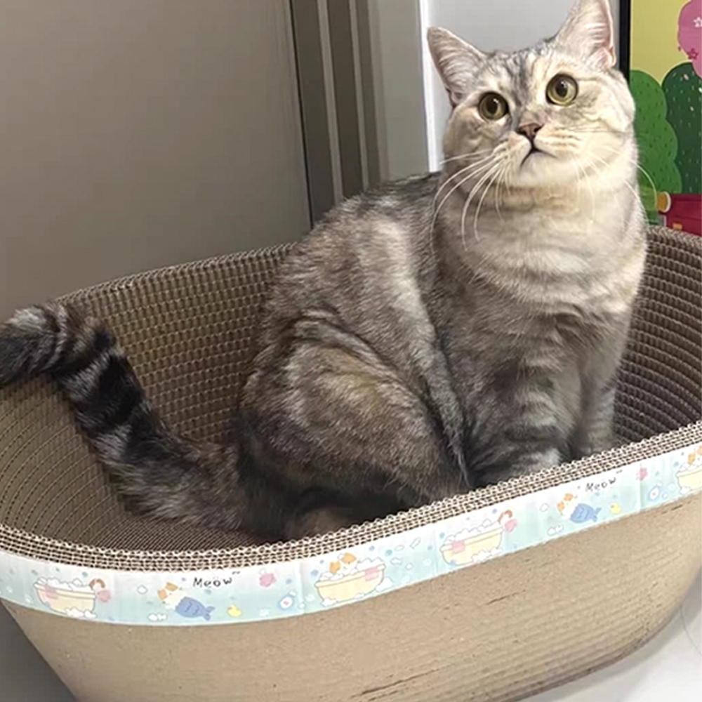 개과천선 어몽드 에이빈 고양이 스크래쳐 - 상세 이미지 2