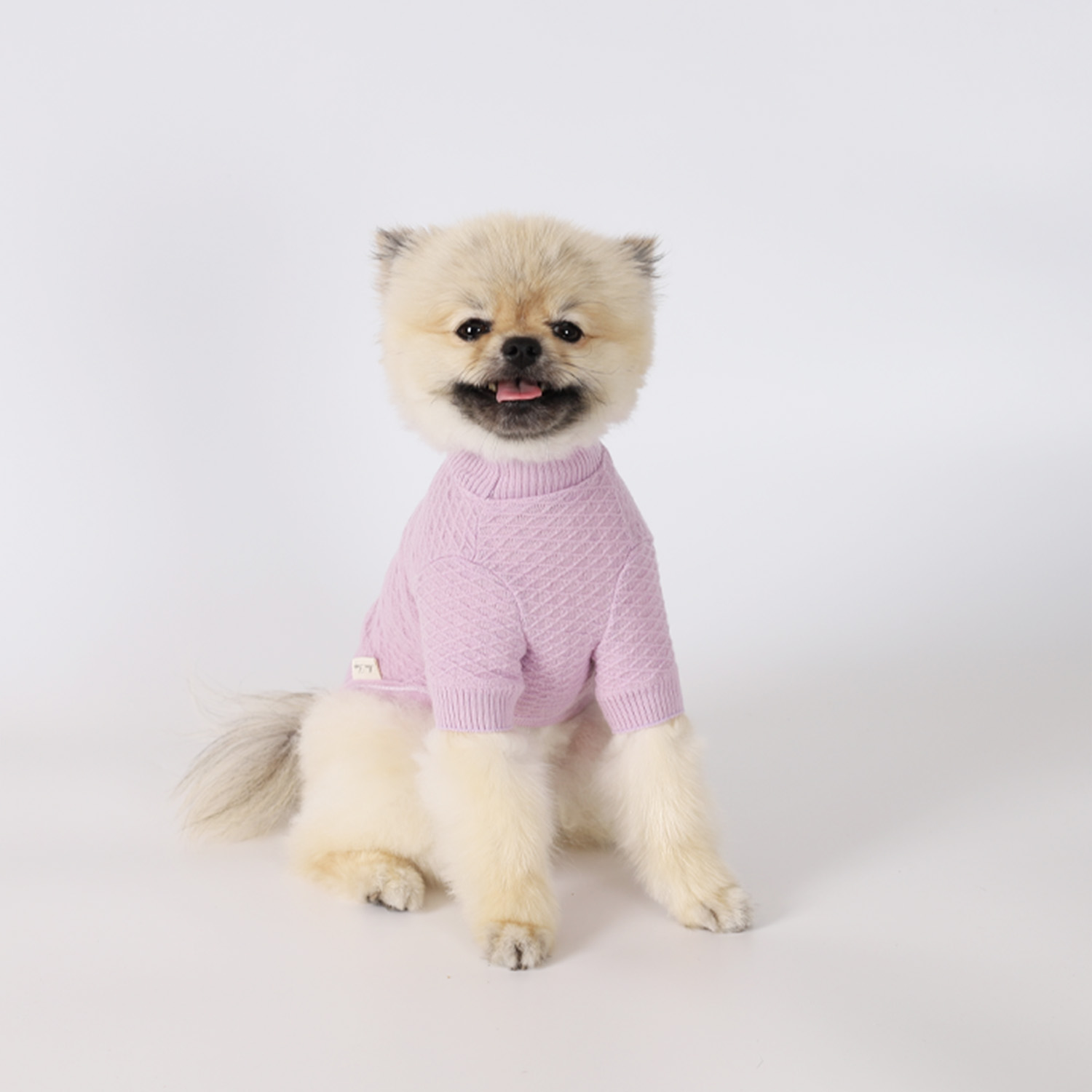 강아지옷 웨하스