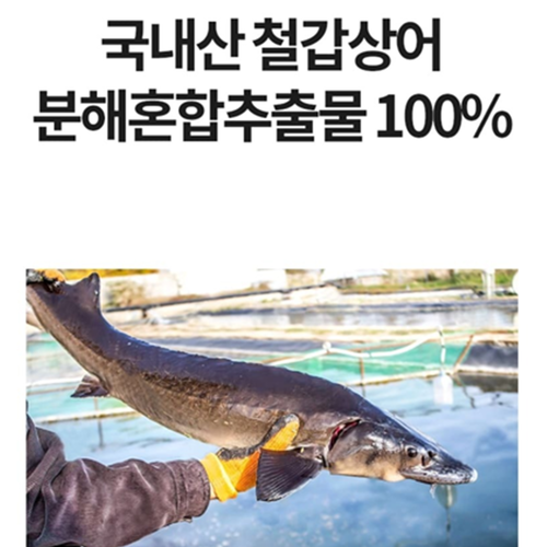 오스틴제약 한방 액상 철갑상어 즙 20포 1박스 액기스 콘드로이친 관절 연골 원기 기력 - 상세 이미지 2
