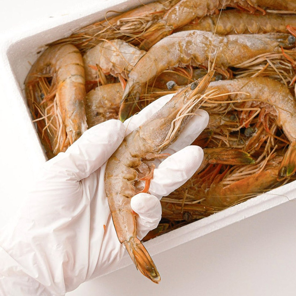 대천해 자연산 대하 1kg