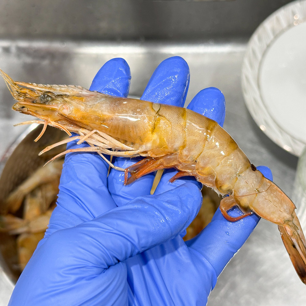 대천해 자연산 대하 1kg - 상세 이미지 5