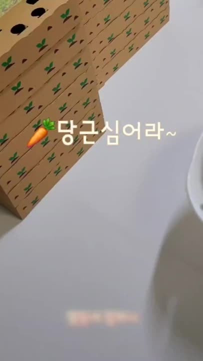 용돈토퍼 어버이날 반전 용돈박스 부모님생신 환갑이벤트 자식농사 당근밭 엄마 당근2개