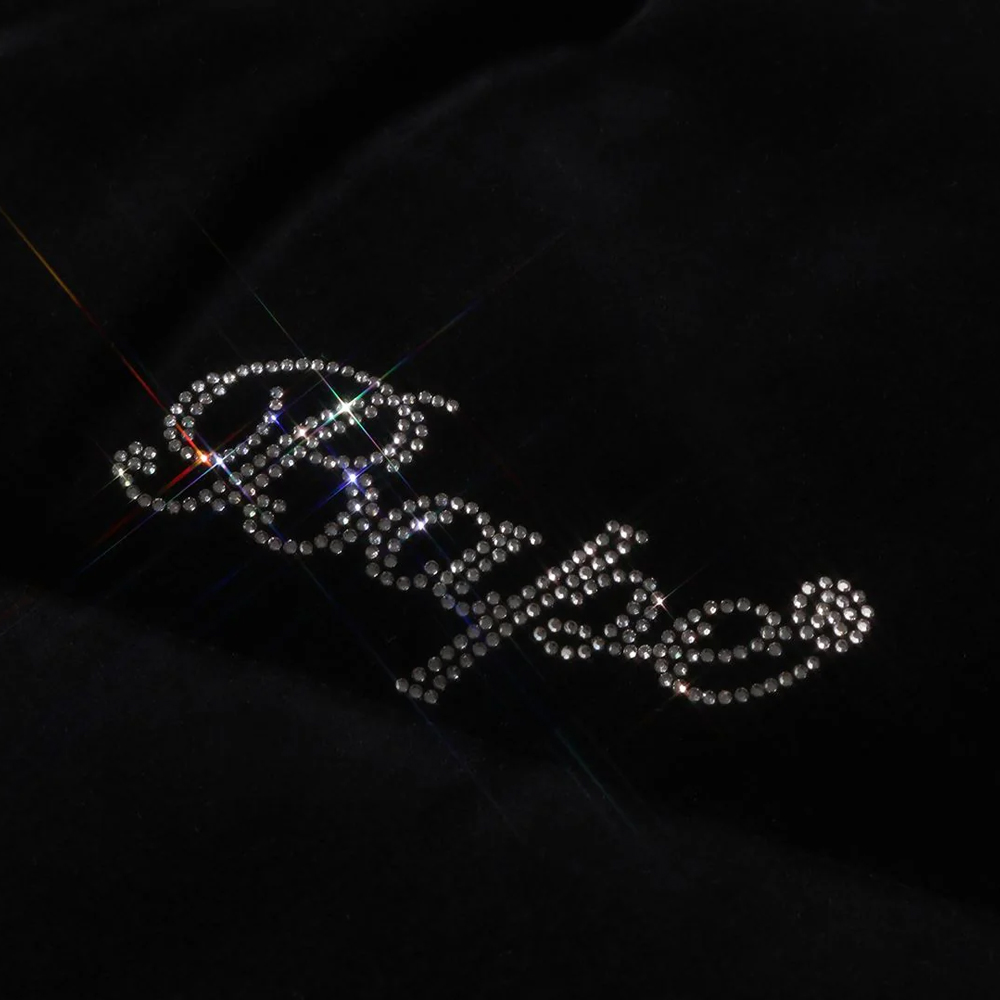 베이프 우먼즈 점퍼 CRYSTAL STONE LOGO VELOUR DOWN JACKET 1L80-244-005 - 상세 이미지 5