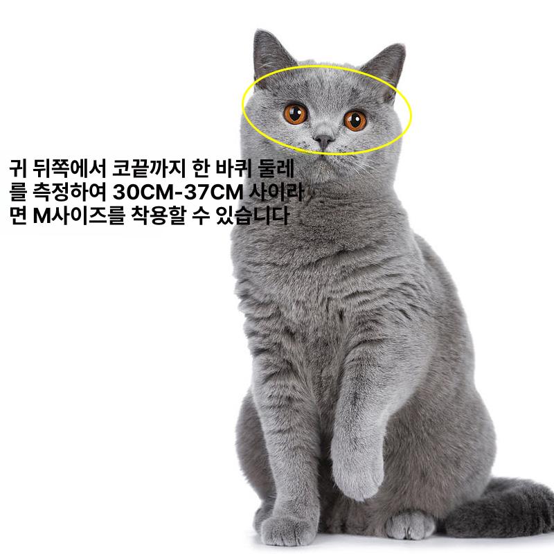 고양이 강아지 인형 안전모 패션모 오토바이 바이크 야구 모자 스타일 빅사이즈 베이직 오픈 탑 럭키 캣 M사이즈대형고글포함 - 상세 이미지 4