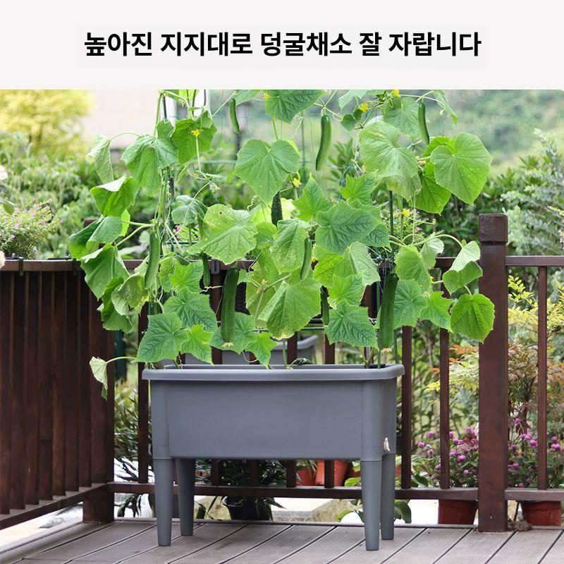 화분 특대형 야채 텃밭상자 재배 직사각 채소재배 플랜트박스 상추 발코니 대형 베란다 화이트 레진 특대 76x31x50 cm - 상세 이미지 3