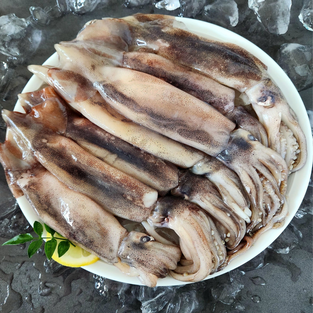 생물 오징어 오징어통찜 내장 급냉 냉동 600g~1kg - 상세 이미지 2